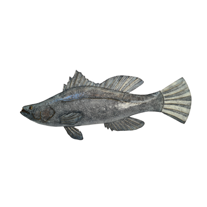 Barramundi metal wall hanging 120 cm long