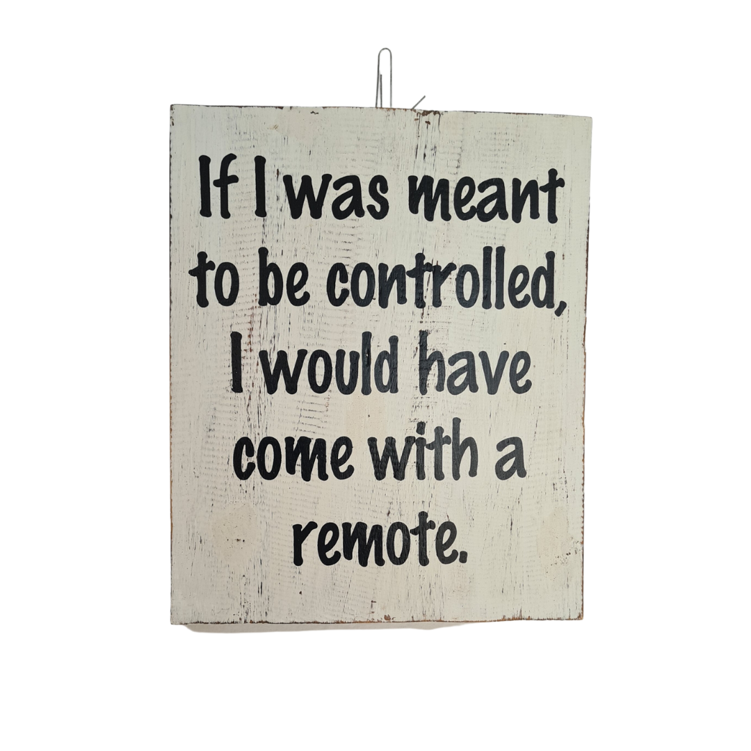 Plaque &quot;If I was meant to be controlled, I would have come with a remote&quot; 24 x 30 cm