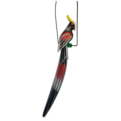 Cockatoo - black long tail in swing 10BK