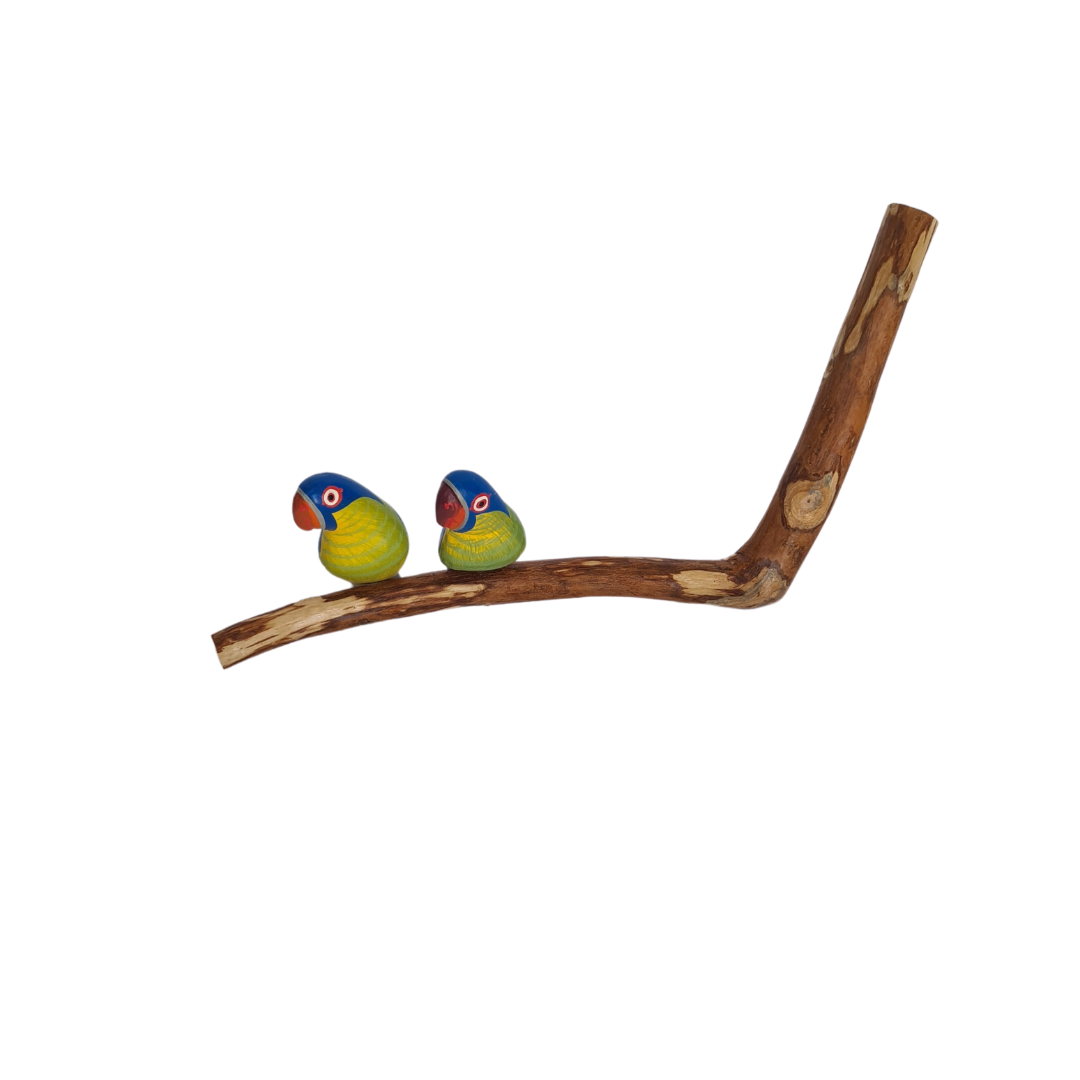 Parrots - colourful pair sitting on a perch (14)