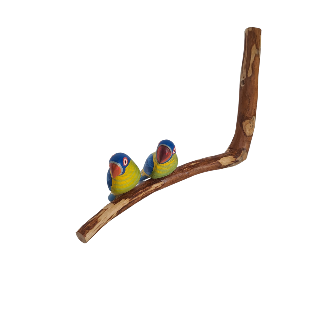 Parrots - colourful pair sitting on a perch (14)