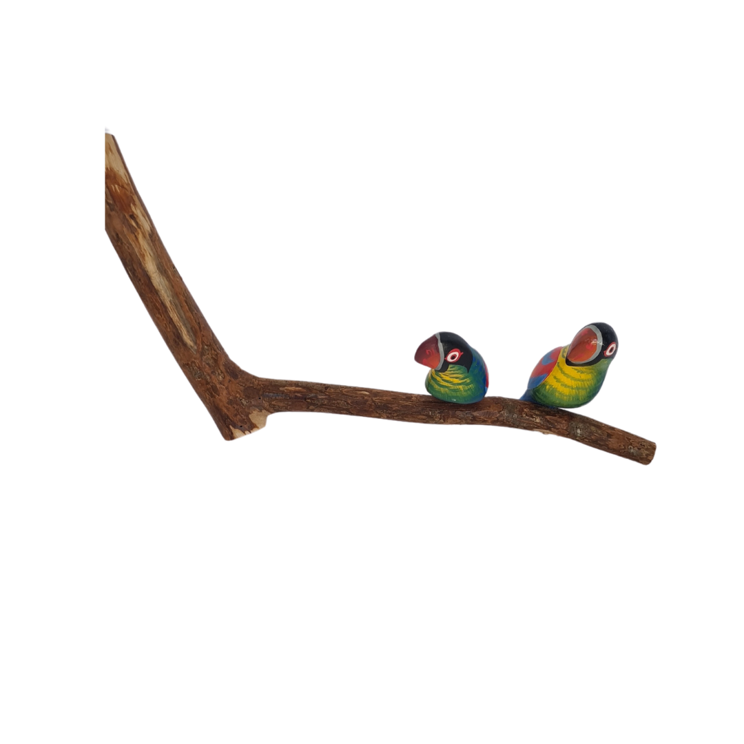 Parrots - colourful pair sitting on a perch (16)